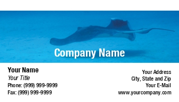 Aquatic | Featured Designs | Sports | Swimming |--| Astrid Van Der Eerden | At32556 | Blue | Marine Biologist | Mexico | Sea | Stingray