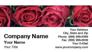 Featured Designs |--| Astrid Van Der Eerden | At32558 | Florist