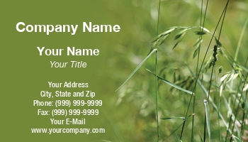 Featured Designs | Garden | Landscaping | Trades |--| At32712 | Background | Crabgrass | Darryl Brooks | Field | Gardeners | Grass | Landscapers | Suppliers | Weeds