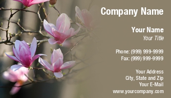 Featured Designs | Floral | Nature |--| At32717 | Background | Botanists | Darryl Brooks | Florists | Flower | Gardeners | Japanese Magnolia | Landscapers | Magnolia