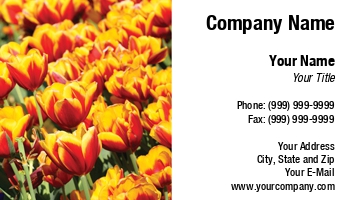 Featured Designs |--| At32721 | Darryl Brooks | Tulip