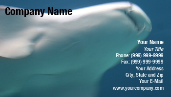 Aquatic | Featured Designs | Sports | Swimming |--| Astrid Van Der Eerden | At32780 | Business | Card | End | High | Shark | Surfacing | Template