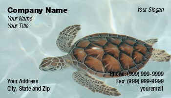 Animals | Aquatic | Featured Designs | Nature | Sports | Swimming |--| Astrid Van Der Eerden | At32781 | Caribbean | Planet | Save | Sea | Turtle