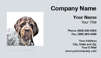 Featured Designs |--| Animal | At32808 | Background | Dog | Dog Sitter | Dogs | Drawing | German | Great | Groomers | Penny Williams | Pet | Pets | Pointer | Shelters | Shorthaired | Sitters | Trainers | Vets | Walkers | White | Workers