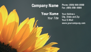 Featured Designs | Garden | Trades |--| Astrid Van Der Eerden | At32939 | Background | Dark | Flower | Sunflower