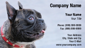 Featured Designs |--| At33077 | Boston | Boston Terrier | Bulldog | Dog | Dog Kennel | Dogs | French | French Bulldog | Judy Ben Joud | Pets | Terrier
