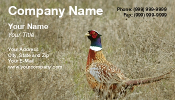 Featured Designs |--| At33235 | Bird | Bird Sanctuary | Kanwarjit Singh Boparai | Wild Birds