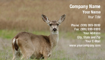 Animals | Featured Designs | Nature | Wild |--| At33236 | California | Card | Central | Deer | Enthusiasts | Gun | Hand | Hunters | Kanwarjit Singh Boparai | Mule | Peace | Portrait | Rocky Mountain Wildlife | Tranquility | Useful | Wanting | Wilds