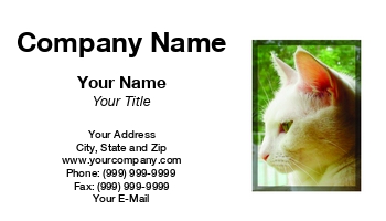 Featured Designs |--| At33743 | Breeders | Cat | Groomers | Image | Owners | Penny Williams | Perfect | Pet | Petsitters | Profile | Shop | Vets | White