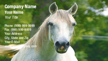 Featured Designs |--| Arabian | At30435 | Coat | Horse | Mare | Sandra Morris | Spotted | Straight | Swishing | Tail | White