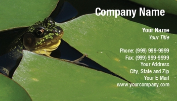 Animals | Featured Designs | Nature |--| Amphibian | At30444 | Emilia Kun | Frog | Green | Lily | Pond | Water