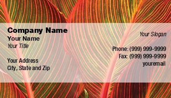 Featured Designs | Garden | Nature | Trades |--| At30451 | Background | Botanical | Botanist | Botany | Breeding | Card | Colorful | Colorful Leaves | Emilia Kun | Gardener | Gardner | Horticulture | Leaves | Leaves Background | Natural | Natural Background | Pathology | Plants | Suitable