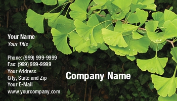 Featured Designs | Health | People |--| #039 | Alzheimer | Anti | Antioxidant | At30486 | Biloba | Botany | Chinese | Concentration | Conifers | Deciduous | Dementia | Disease | Drops | Emilia Kun | Fan | Ginkgo | Green | Herbalism | Leaves | Maidenhair | Medicinal | Medicine | Memory | Naturopathic | Rain | Related | Shaped | Tree | Urushiol | Vertigo