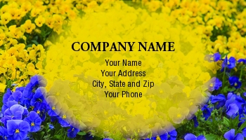Featured Designs | Garden | Trades |--| At34373 | Blue | Flowers | Norma Cornes | Pansy | Yellow