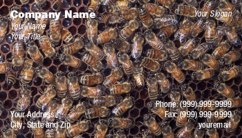 Featured Designs | People |--| Apiary | Apiculture | At34413 | Bee | Beekeeper | Bees | Card | Catching | Eye | Honey | Insect | Jay Schulz | Keepers | Sell | Study | Unique