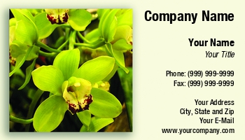 Featured Designs |--| At34622 | Cymbidium | Emilia Kun | Florist | Flower | Orchid | Species | Yellow