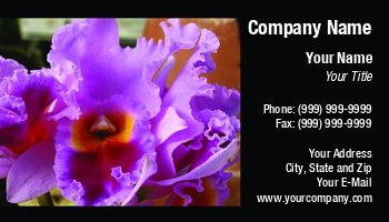 Featured Designs | Floral | Nature |--| At34631 | Emilia Kun | Flower | Laeliocattleya | Orchid | Pink | Red | Ruffled | Species