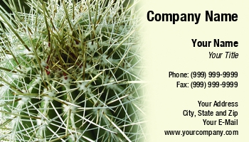 Desert | Featured Designs | Nature |--| At34632 | Cactus | Emilia Kun | Plant | Prickly