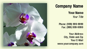 Featured Designs | Floral | Nature |--| At34642 | Beautiful | Emilia Kun | Flower | Girl | Happy | Orchid | Phlaenopsis | White