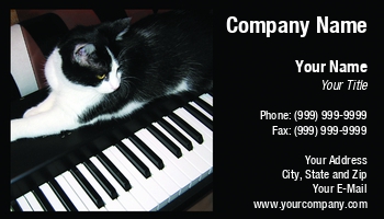 Featured Designs |--| At34647 | Black | Cat | Emilia Kun | Laying | Piano | Piano Teacher | Piano Tuning | White