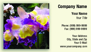 Featured Designs | Floral | Nature |--| At34668 | Colorful | Emilia Kun | Flowering | Laeliocattleya | Orchid