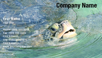 Animals | Aquatic | Featured Designs |--| Above | Air | Astrid Van Der Eerden | At34784 | Coming | Head | Reptile | Sea | Turtle