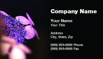 Featured Designs | Floral | Nature |--| At34793 | Background | Black | Business | Card | Florist | Gardning | General | Great | Hydrangea | Jolande Gerritsen | Macro Photography | Themed