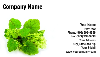Family | Featured Designs | Nature | People | Youth |--| At34953 | Businesses | Card | Care | Center | Colors | Conceptual | Depicts | Fresh | Generation | Great | Growing | Growth | Guide | Jolande Gerritsen | Leaf | Leafs | Menziesii | Nursery | Parent | Special | Suited | Support | Tolmiea | Young