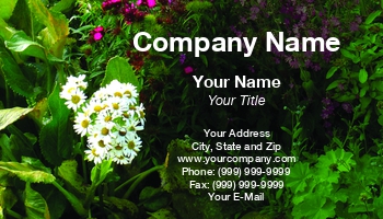 Featured Designs | Garden | Trades |--| At35102 | Bloom | Cottage | Country | Paula Gent
