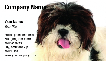 Featured Designs | People |--| Apso | At35134 | Cute | Cute! | Dog | Dogs | Friend | Lhasa | Makes | Pet | Puppy | Stacy Barnett | Wonderful | Yorkshire Terrier