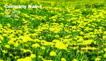 Featured Designs | Floral | Nature | Potpourri |--| Allergen | Allergic | Allergies | Allergy | At35169 | Beautiful | Blossom | Blossoming | Blossoms | Bud | Budding | Buds | Dandelion | Dandelions | Field | Florist | Flower | Flowering | Flowers | George Pappas | Meadow | Natural | Perennial | Plan | Spring