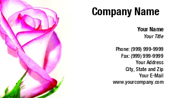 Featured Designs | Floral | Nature |--| Ample | Asmaa Murad | At35433 | Bring | Card | Color | Feeling | Fresh | Giving | Placement | Rose | Space | Text | White