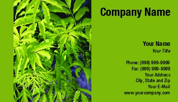 Featured Designs |--| At35487 | Green | Leafs | Nadezda Pyastolova | Vibrant
