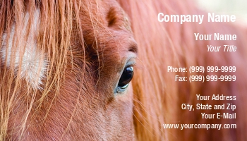 Animals | Farm | Featured Designs | Veterinarian |--| At35724 | Closeup | Cowboy | Cowboys | Cowgirl | Cowgirls | Dude Ranch | Farms | Farrier | Filly | George Pappas | Horse | Horse Farm | Horse Trainer | Horse Trainers | Horse Training | Horseback Riding Instruction | Horses | Horseshoer | Mare | Pet | Petc