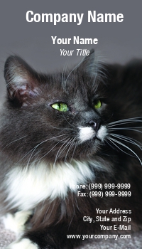 Featured Designs |--| At35730 | Cat | Liz Van Steenburgh | Maine Coon | Maine Coon Cats | Pet | Purebreed | Vet