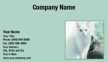 Featured Designs |--| At35744 | Cat | Denise Beverly | Persian Cat