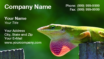 Featured Designs |--| At35932 | George Pappas | Lizard | Lizards | Reptile | Reptiles