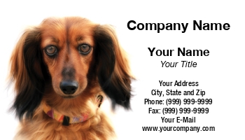 Animals | Featured Designs | Veterinarian |--| At30609 | Dachshund | Dog | Dog Bathing | Dog Care | Dogs | Dreamy | Judy Ben Joud | Pet Photography | Pets | Portrait