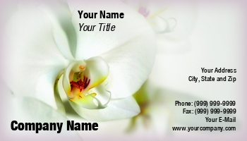 Featured Designs |--| At36787 | Florist | Judy Ben Joud | Orchid | White