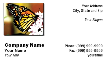 Featured Designs | Nature |--| Angel Abee | At30700 | Butterflies | Butterfly