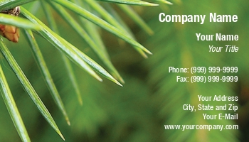 Featured Designs | Nature |--| At30765 | Branch | Macro | Macro Photography | Paula Gent | Pine | Pine Needle | Pine Tree | Shot | Tree | Young