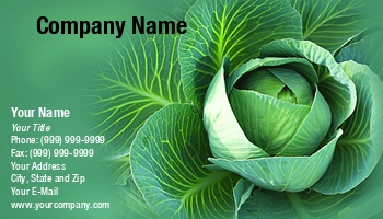 Featured Designs |--| At37822 | Emilia Kun | Vegetables