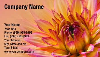 Featured Designs |--| At37881 | Close | Dahlia | Emilia Kun | Pink | Pretty | Yellow