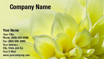 Featured Designs |--| At37884 | Bloomind | Close | Dahlia | Emilia Kun | Flower | Pale | Yellow