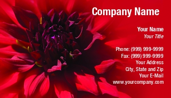Featured Designs |--| At37889 | Beautiful | Bloom | Burgundy | Close | Dahlia | Emilia Kun | Flowering | Red