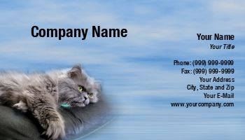 Featured Designs |--| At30828 | Background | Blue | Cat | Feline | Gray | Judy Ben Joud | Kitty | Kitty Cat | Persian | Persian Cat | Sky