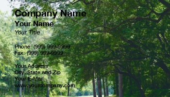 Countryside | Featured Designs | Nature |--| At30854 | Highway | Lined | Mississippi | Natchez | Natchez Trace | Peaceful | Quiet | Sandra Morris | Shady | Trace | Tree