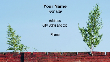 Countryside | Featured Designs | Nature |--| Abandoned | Amazing | At38194 | Birch | Brick | Bricks | Bush | Bushes | Concept | Crenelation | Crenellation | Grow | Industrial | Keywords | Life | Petra Kukofka | Plant | Ruin | Shrub | Sky | Soil | Tree | Trees | Unusual | Vegetation | Wall