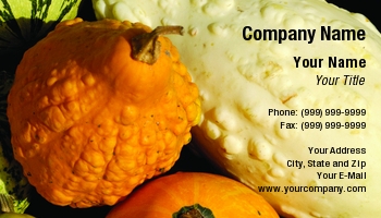 Featured Designs | Food | Holiday | Hospitality | Thanksgiving |--| At38312 | Autumn | Background | Fall | Gourds | Halloween | Holiday | Oleksiy Maksymenko | Pumpkins | Squash | Vegetables