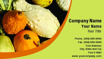 Featured Designs | Food | Holiday | Hospitality | Thanksgiving |--| At38313 | Autumn | Background | Fall | Gourds | Halloween | Holiday | Oleksiy Maksymenko | Pumpkins | Squash | Vegetables